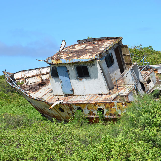 Galapagos