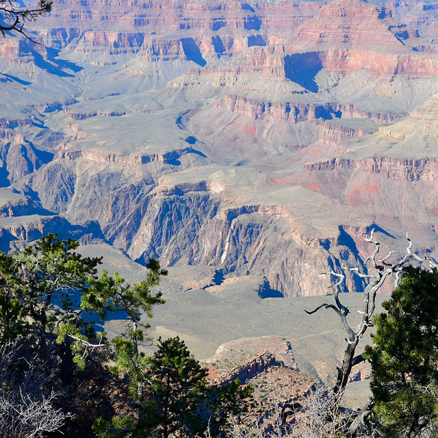 Grand Canyon