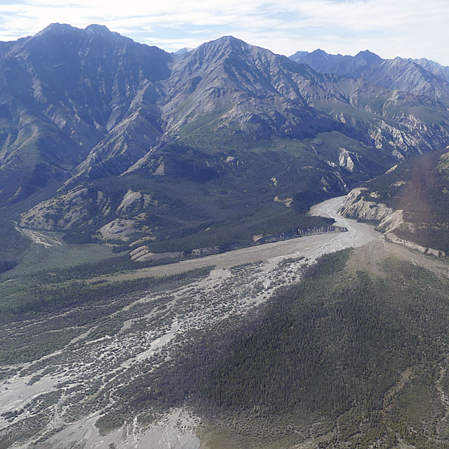 Icefield Discovery