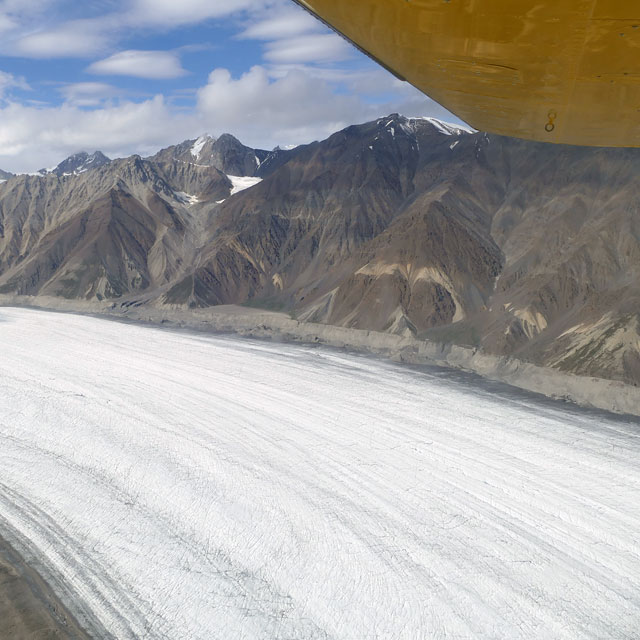 Icefield Discovery