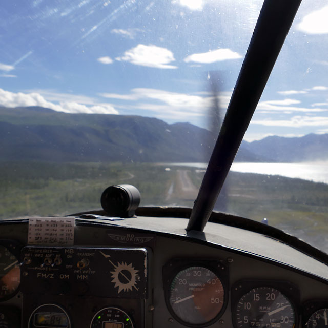 Icefield Discovery