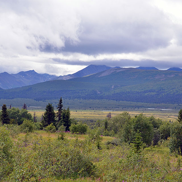 Haines in Alaska