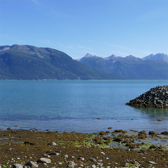 Haines