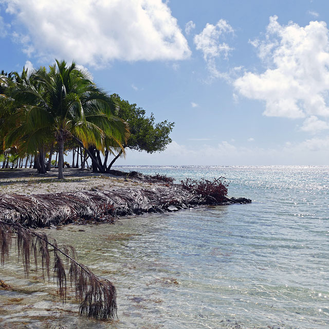 Hopkins in Belize