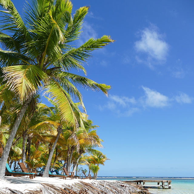 Hopkins in Belize