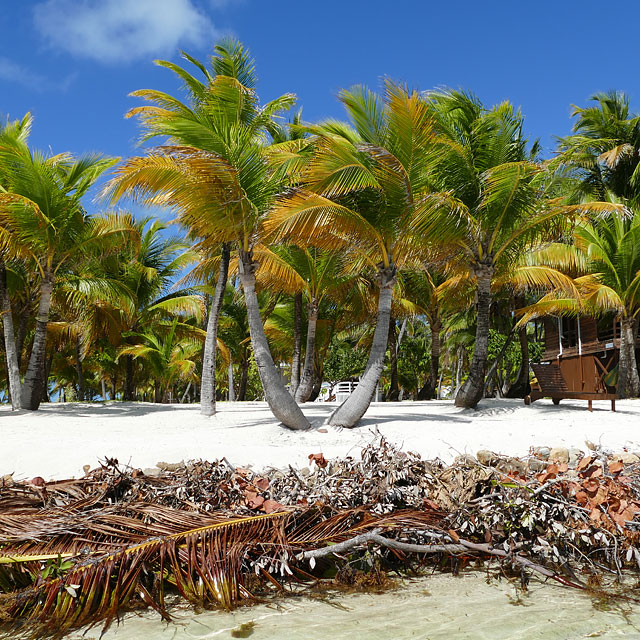 Belize