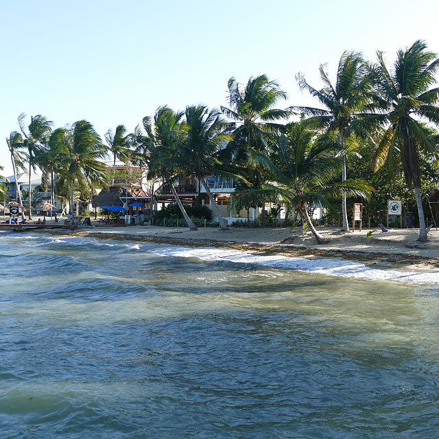 Hopkins in Belize