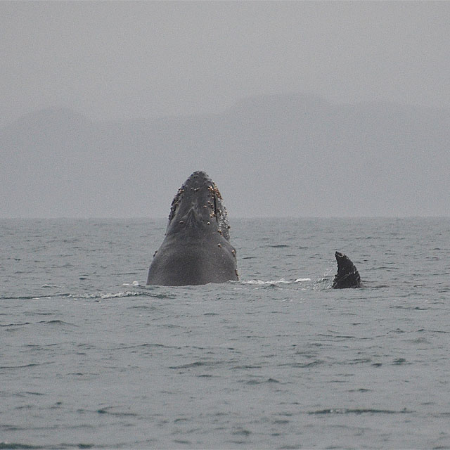 La Paz