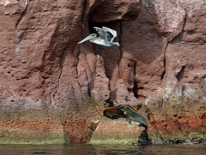 Unterwegs nach La Paz in Mexiko La Paz