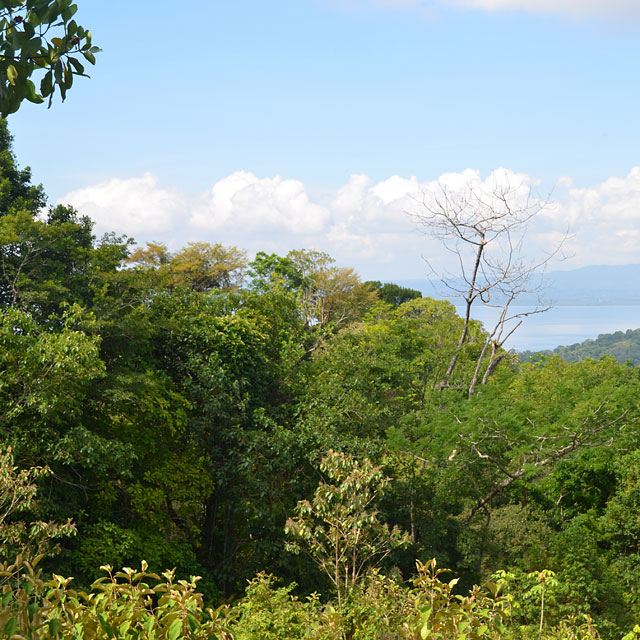 Las Lajas