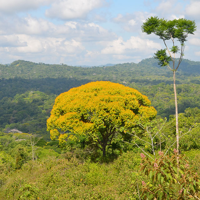 Las Lajas