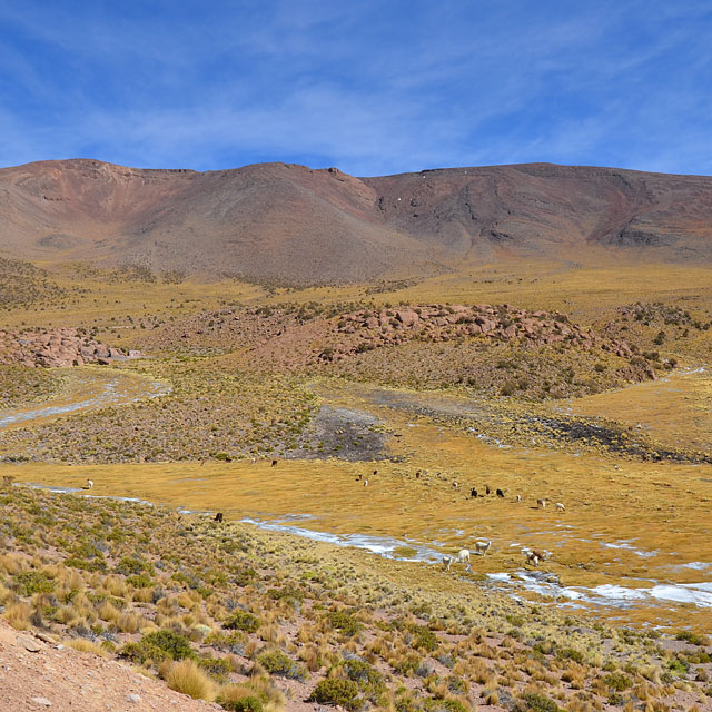 Licancabur