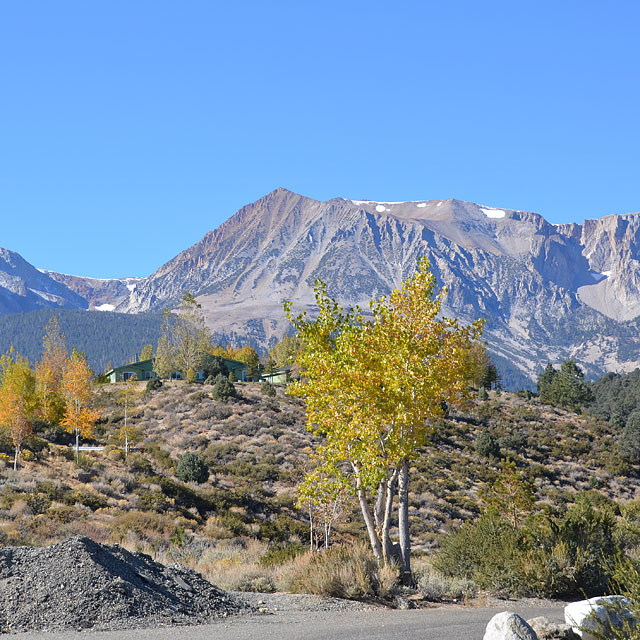 Lone Pine in Kalifornien