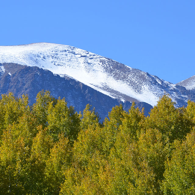 Lone Pine