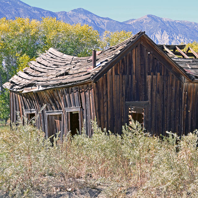 Lone Pine