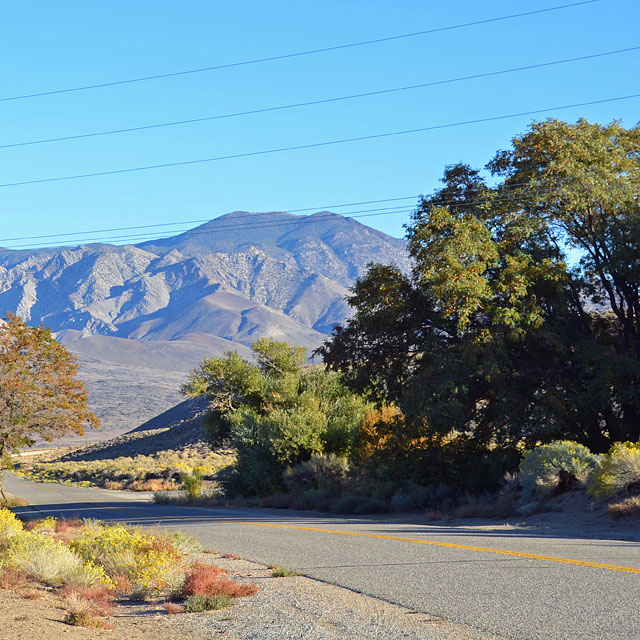 Lone Pine