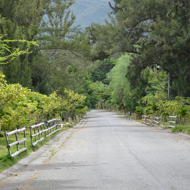 Macará