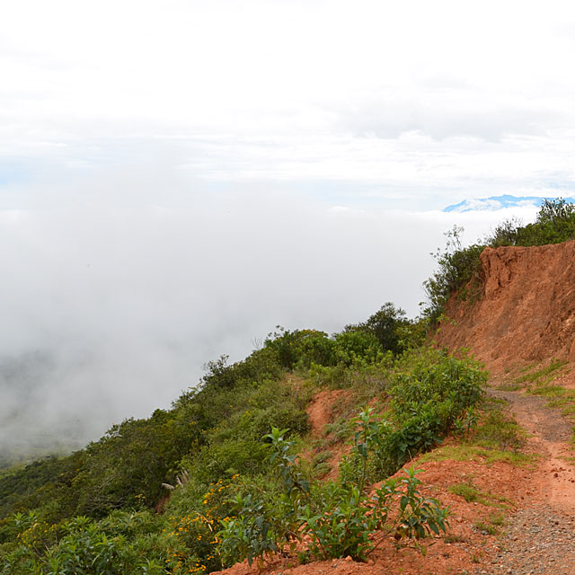 Macará