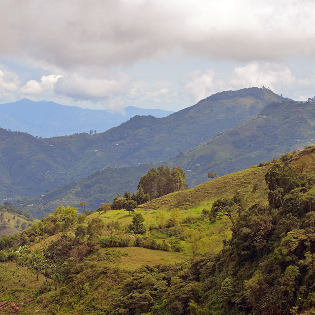 Manizales