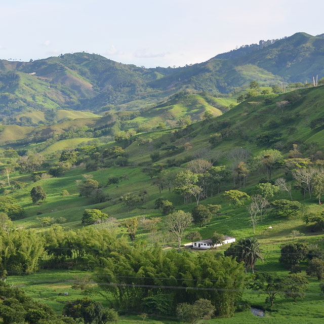 Manizales