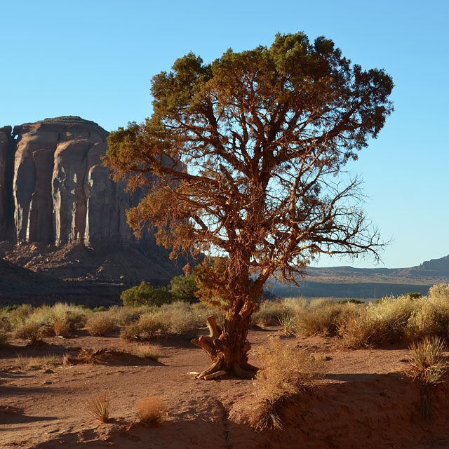 Monument Valley