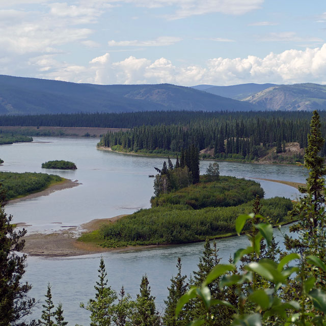 Moose Creek im kanadischen Yukon