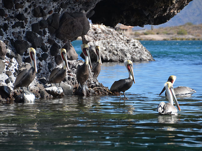 Unterwegs nach Mulegé auf der Baja California Sur Mulegé