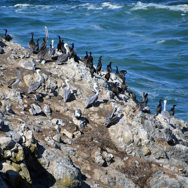 Newport in Oregon