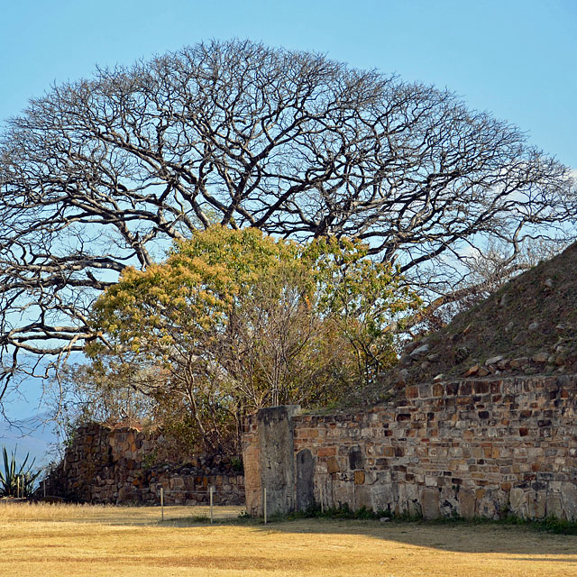 Monte Albán