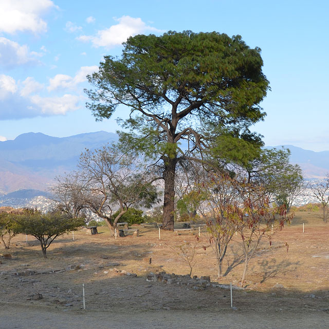 Monte Albán