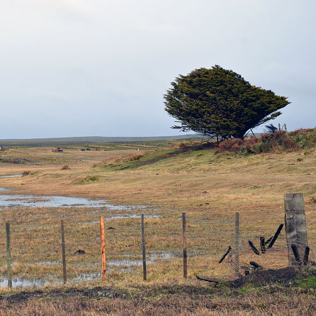 Onaisín, Chile