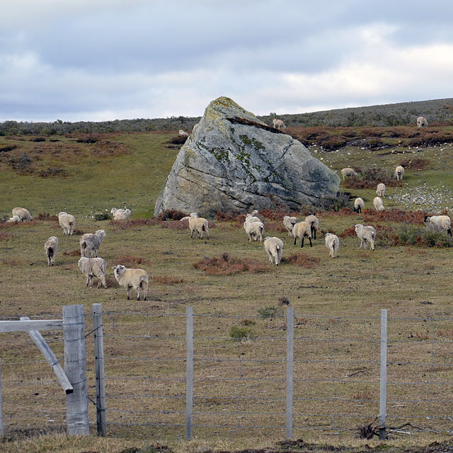 Onaisín, Chile