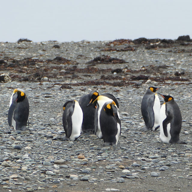 Onaisín, Chile