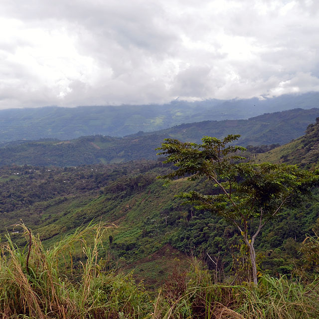 Palenque