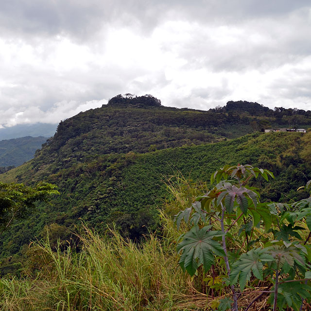 Palenque