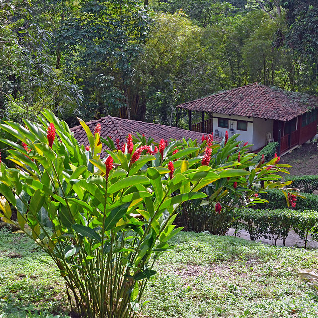 Palenque