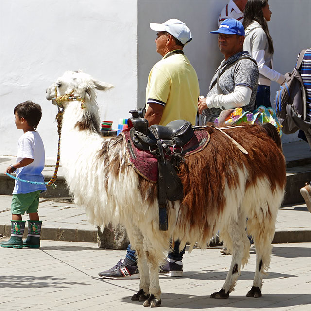 Popayan