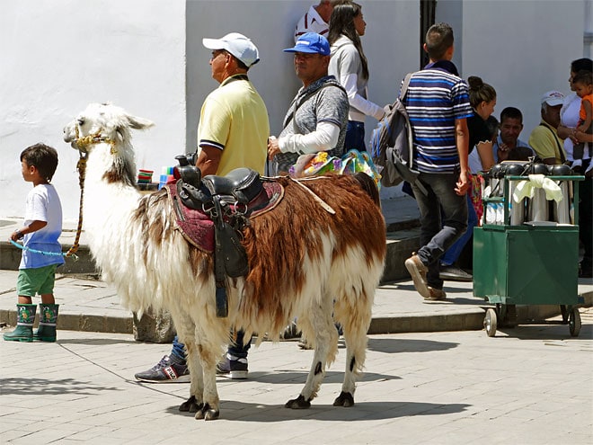 Von Salento nach Popayán in Kolumbien Popayán in Kolumbien