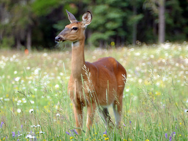 Tour von Dryden nach Portage la Prairie in der kanadischen Provinz Manitoba Portage la Prairie