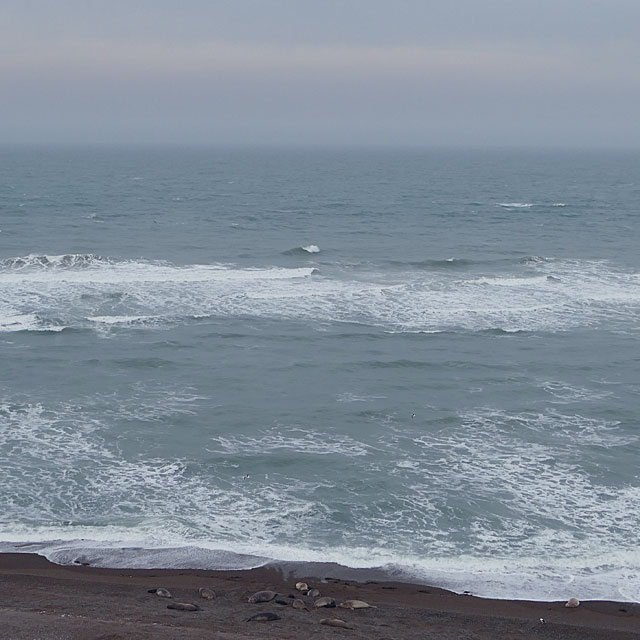 Puerto Pirámides