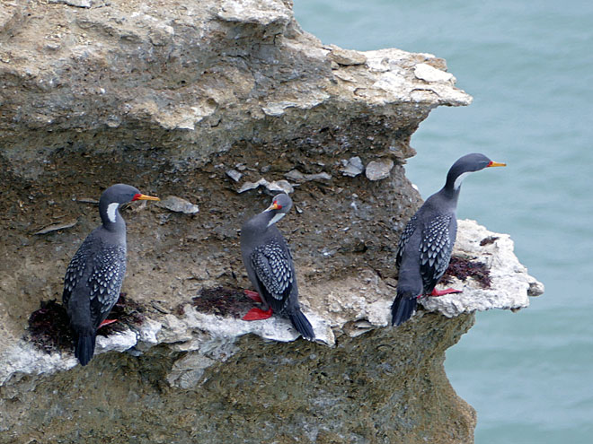 Von Rio Gallegos nach Puerto San Julián in Argentinien Puerto San Julián in Argentinien