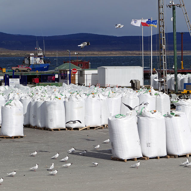 Punta Arenas in Chile