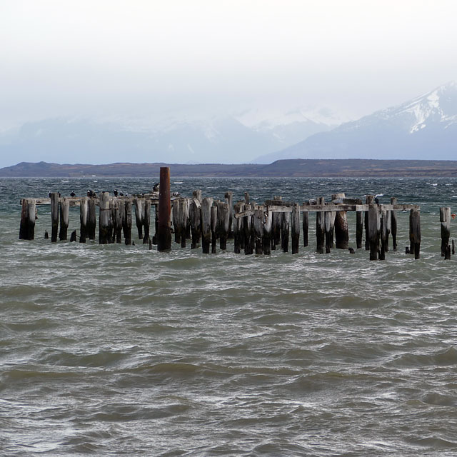 Punta Arenas in Chile