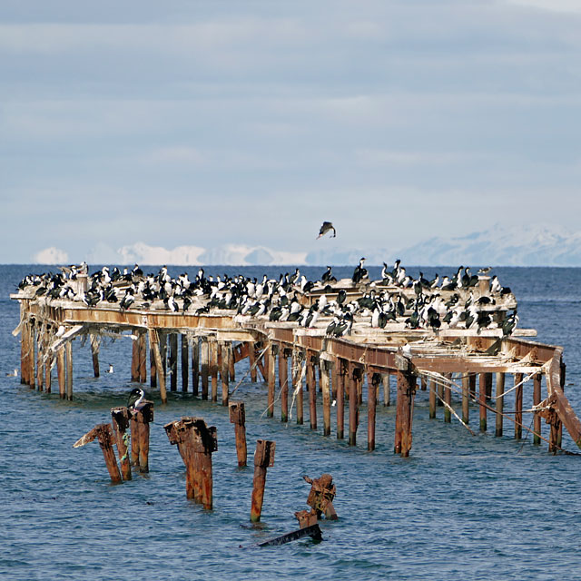 Punta Arenas in Chile