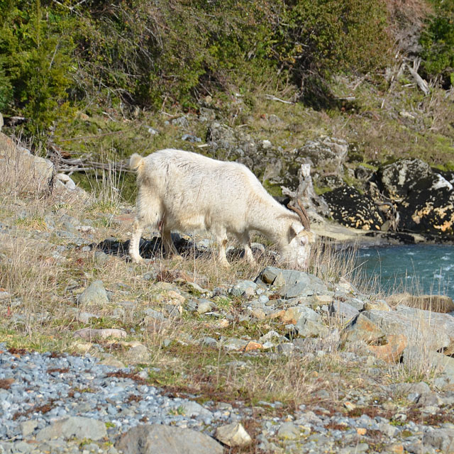 Puerto Puyuhuapi