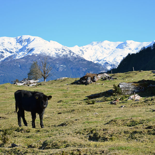 Puerto Puyuhuapi