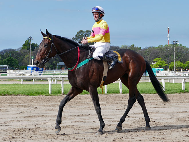 Rückkehr von Montevideo nach nach Buenos Aires in Argentinien Zurück in Buenos Aires
