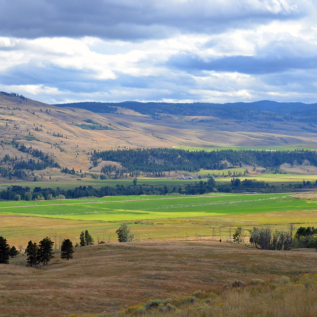 Calgary