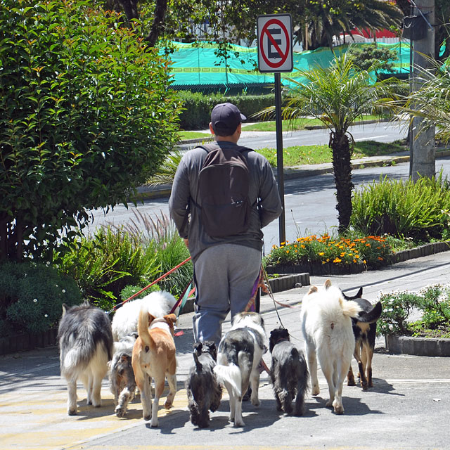 Quito