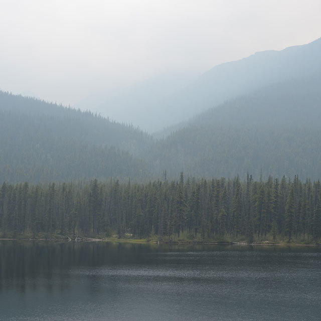 Zurück nach Watson Lake